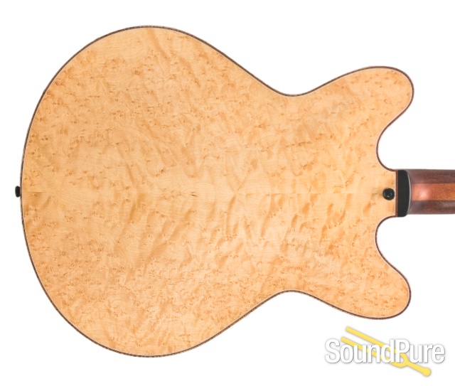 Ribbecke Testadura Thinline Semi-hollow Guitar #314 - Used — image 6