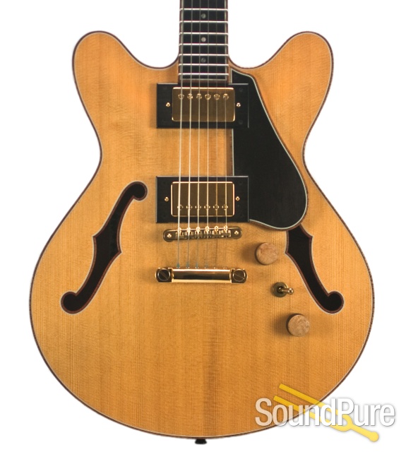 Ribbecke Testadura Thinline Semi-hollow Guitar #314 - Used — image 1
