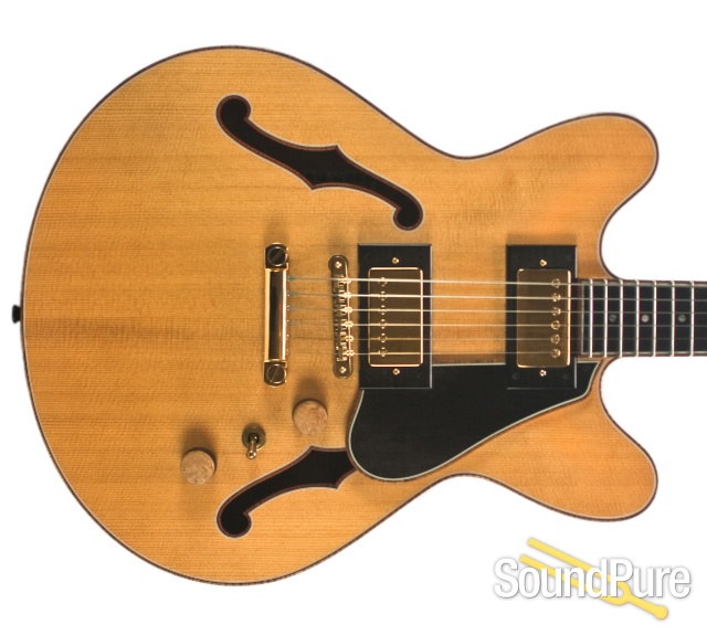 Ribbecke Testadura Thinline Semi-hollow Guitar #314 - Used — image 8
