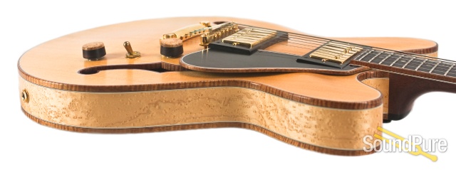 Ribbecke Testadura Thinline Semi-hollow Guitar #314 - Used — image 9