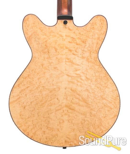Ribbecke Testadura Thinline Semi-hollow Guitar #314 - Used — image 10