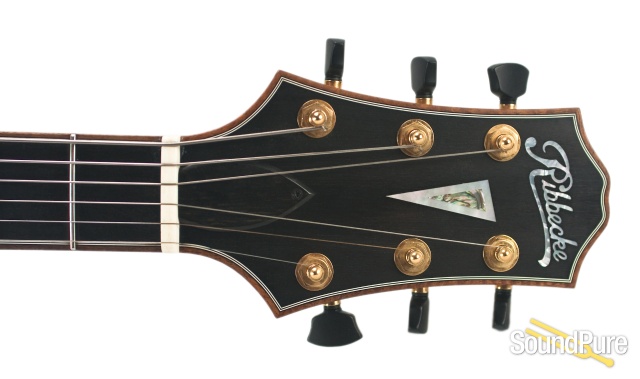 Ribbecke Testadura Thinline Semi-hollow Guitar #314 - Used — image 13
