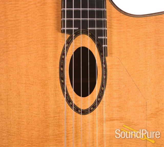 Beardsell 2G Sitka/Rosewood Acoustic/Electric #111 - Used — image 8