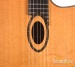 18465-beardsell-2g-sitka-rosewood-acoustic-electric-111-used-15a427f1bba-3a.jpg