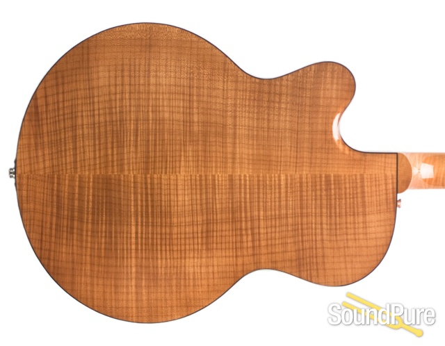 Andersen Model 16 Custom Archtop #441 - Used — image 5
