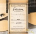 18816-eastman-ar880ce-bd-john-pisano-signature-archtop-14650357-15c9d3b26fe-2a.jpg