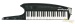 19014-roland-ax-synth-in-black-sparkle-with-hard-case-used-15c37448b4f-4c.jpg