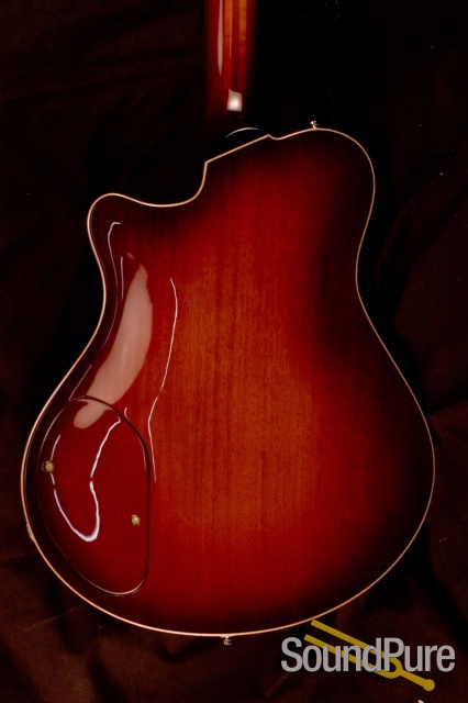 New Orleans JB 14 Semi-hollow Guitar — image 10