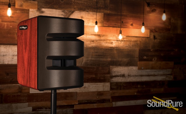 L.R. Baggs Synapse PA System — image 3