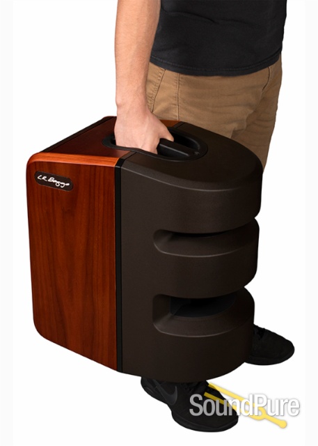 L.R. Baggs Synapse PA System — image 5