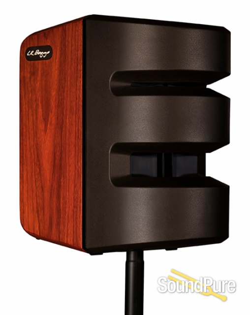 L.R. Baggs Synapse PA System