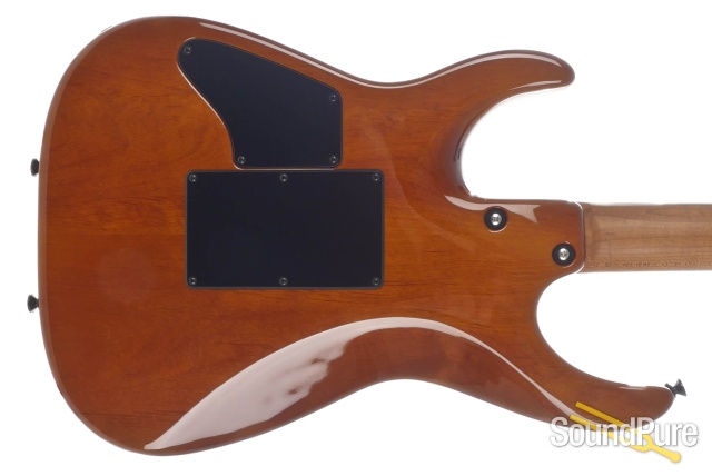 Anderson Angel Private Reserve Maple Top Electric #04-19-18A — image 7