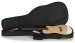 20351-godin-multiac-nylon-duet-ambiance-natural-hg-17135119-160d6cb2bf8-3b.jpg