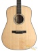 20394-morgan-guitars-dm-mahogany-dreadnought-2450-used-160fab78d84-63.jpg