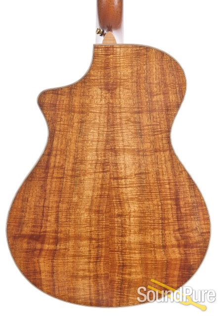 Breedlove C5/K '95 NAMM Acoustic #95-180 - Used — image 2