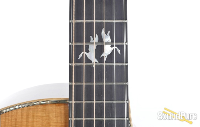 Breedlove C5/K '95 NAMM Acoustic #95-180 - Used — image 4