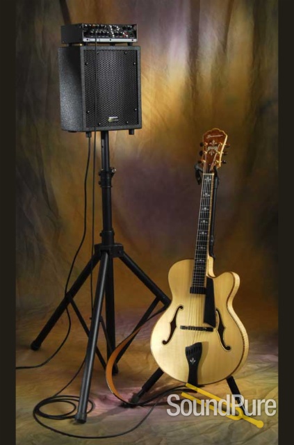 Buscarino Chameleon Speaker 8" Cabinet — image 1