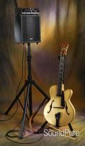 Buscarino Chameleon Speaker 8" Cabinet Buscarino Chameleon Speaker 8" Cabinet