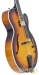 20765-sadowsky-jim-hall-model-caramel-burst-archtop-a1596-161e3413156-1.jpg