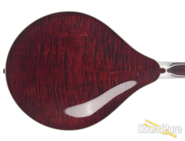 Collings MT 2 Cream Addy/Stained Maple Mandolin #3513 - Used — image 3
