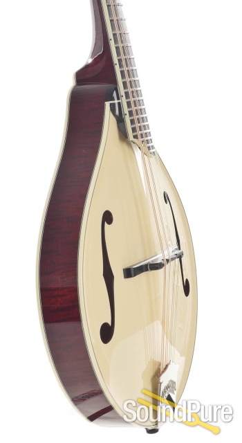Collings MT 2 Cream Addy/Stained Maple Mandolin #3513 - Used — image 9