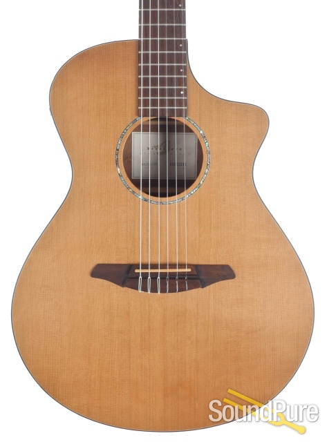 Breedlove AN 250-CR Cedar/Rosewood Nylon #05032842 — image 1