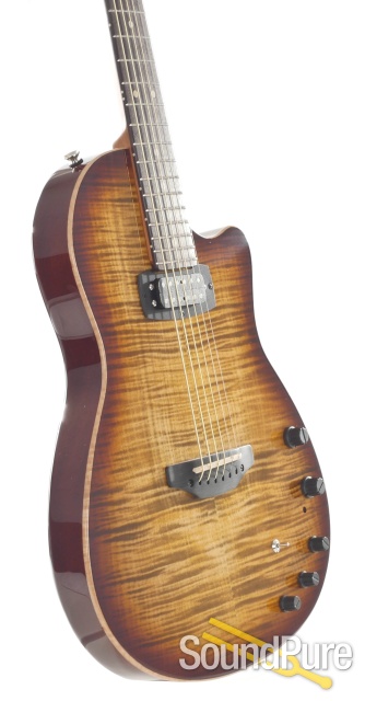 Anderson Crowdster Plus Light Tiger Eye Burst #08-11-18P — image 4