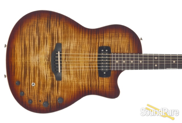 Anderson Crowdster Plus Light Tiger Eye Burst #08-11-18P — image 5