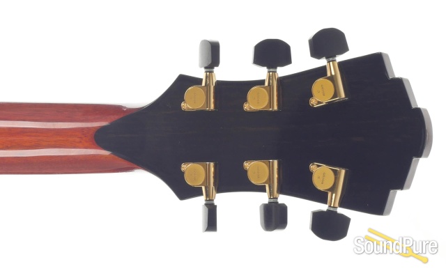 Eastman AR380CE-HB John Pisano Signature Archtop #12850274 — image 5