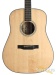 21736-morgan-guitars-dm-sitka-mahogany-dreadnought-2450-used-16510e22525-4c.jpg