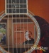 21901-martin-m-30-jorma-kaukonen-artist-model-acoustic-used-1659141a1ac-a.jpg