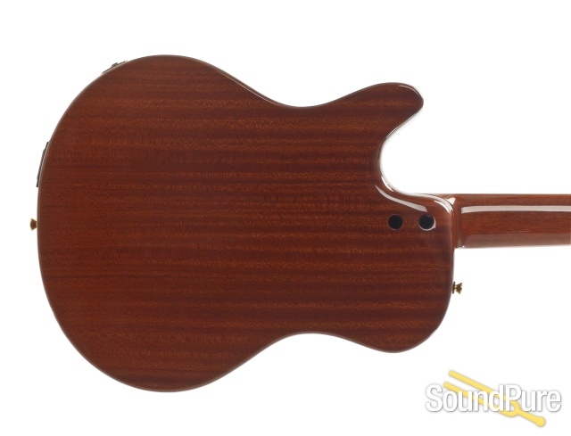Buscarino Starlight Nylon Acoustic Electric #CS0611415 -Used — image 3