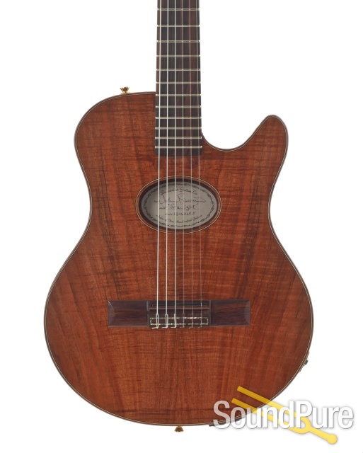 Buscarino Starlight Nylon Acoustic Electric #CS0611415 -Used — image 1