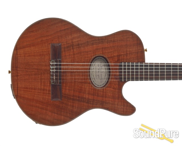 Buscarino Starlight Nylon Acoustic Electric #CS0611415 -Used — image 4