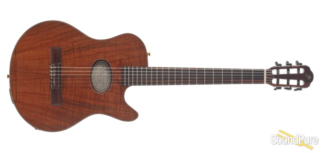 Buscarino Starlight Nylon Acoustic Electric #CS0611415 -Used — image 8