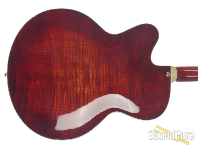Eastman AR503CE Archtop #14850201 - IBMA Demo — image 4