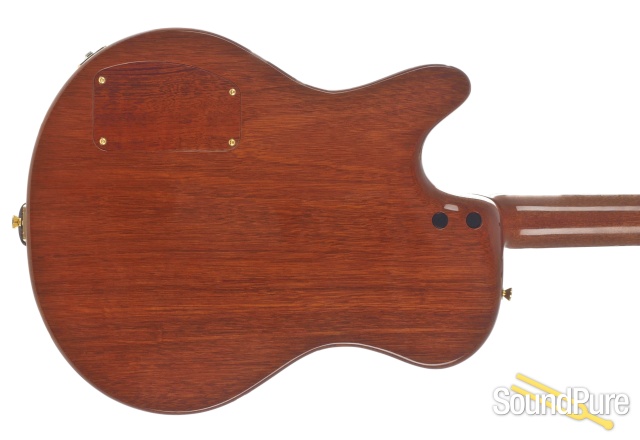 Buscarino Starlight Archtop Guitar #MG10119016 - Used — image 3