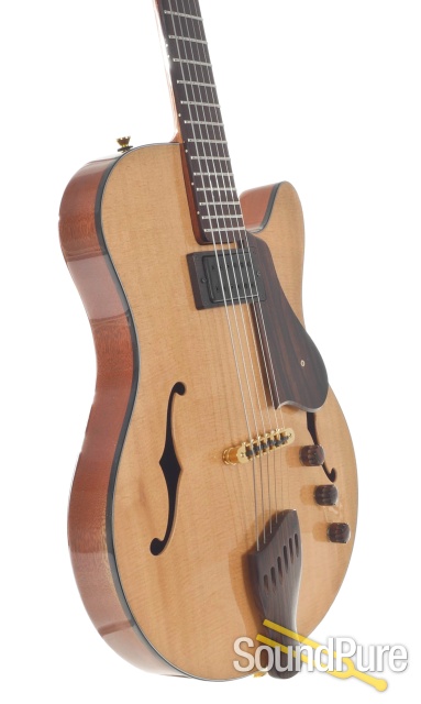 Buscarino Starlight Archtop Guitar #MG10119016 - Used — image 7