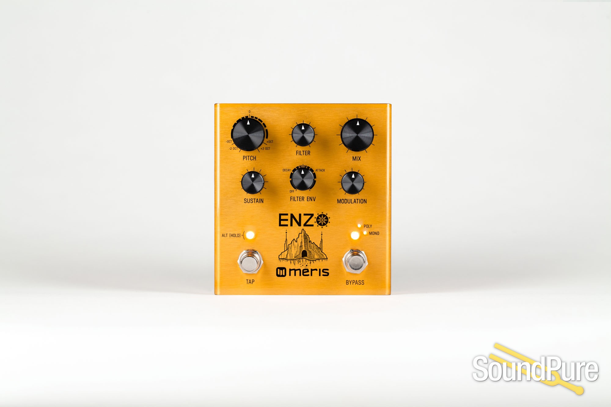 Meris Enzo Multi-Voice Instrument Synthesizer Pedal