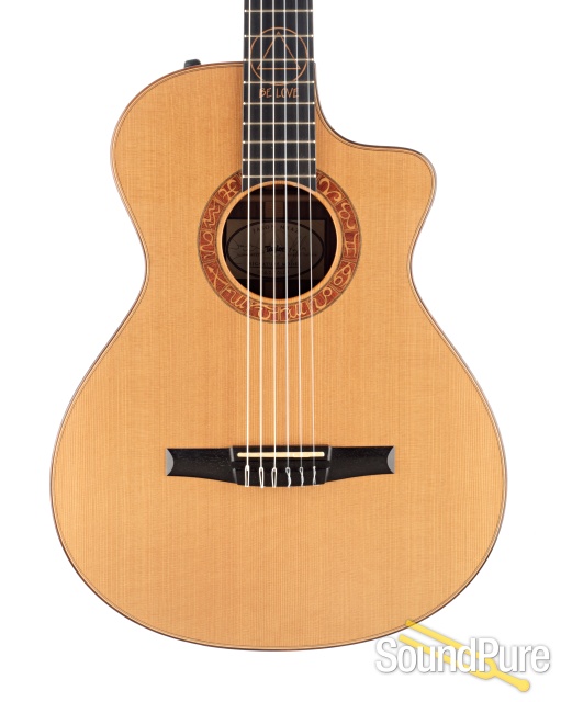 Taylor 2011 Jason Mraz Sig Cutaway Nylon  #110680127 - Used — image 1