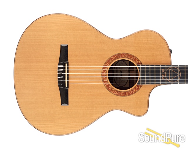 Taylor 2011 Jason Mraz Sig Cutaway Nylon  #110680127 - Used — image 10