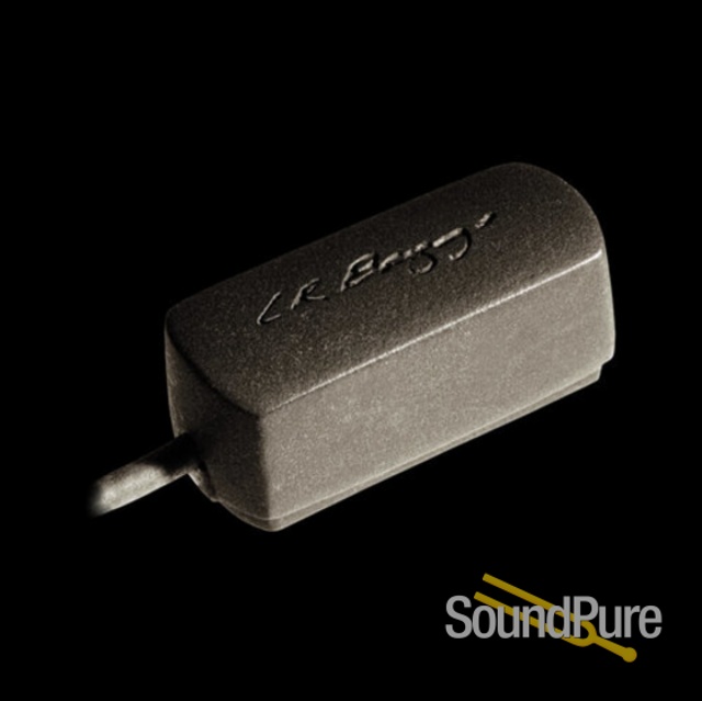 L.R. Baggs Radius Mandolin Pickup — image 3