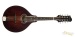23220-eastman-md504-spruce-maple-a-style-mandolin-11146226-used-16b3392709c-38.jpg