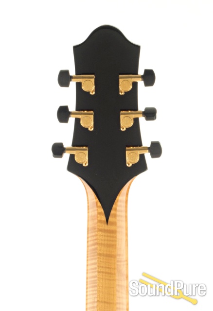 Benedetto Bravo Blonde Archtop #172 - Used — image 4
