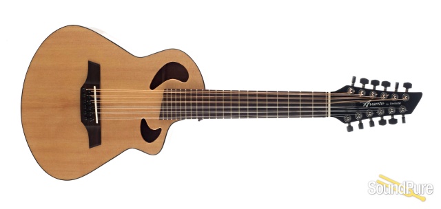 Viellette by Avante Gryphon 12-String #P342 - Used — image 8