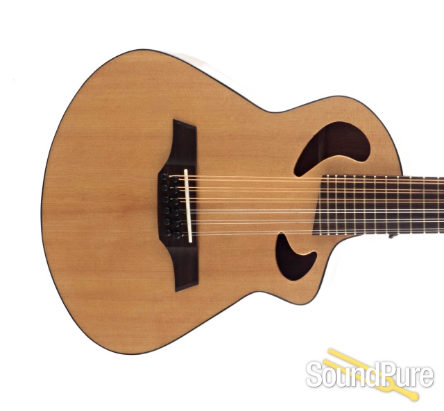 Viellette by Avante Gryphon 12-String #P342 - Used — image 9