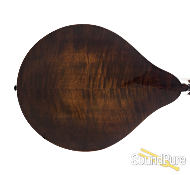 Eastman MD505 Spruce/Maple A-Style Mandolin #16852532 — image 7