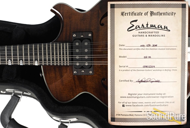 Eastman ER-M Electric Mandolin #13952209 — image 5
