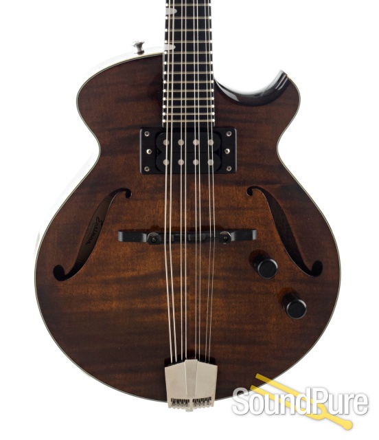 Eastman ER-M Electric Mandolin #13952209 — image 1