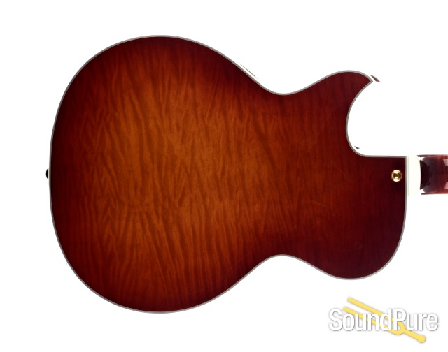 Benedetto Bambino Deluxe Autumn Burst Archtop #52306 - Used — image 5